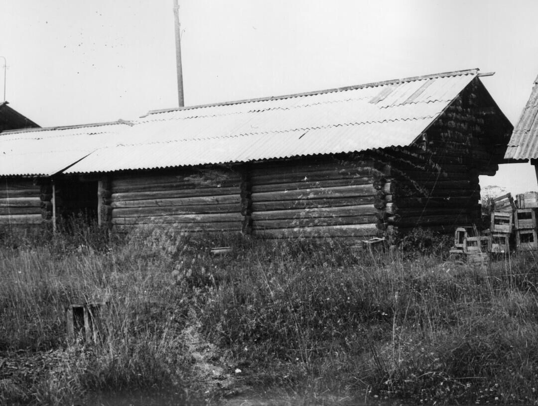 Погода усть паденьга. Паденьга Архангельская область. Шенкурский архив.