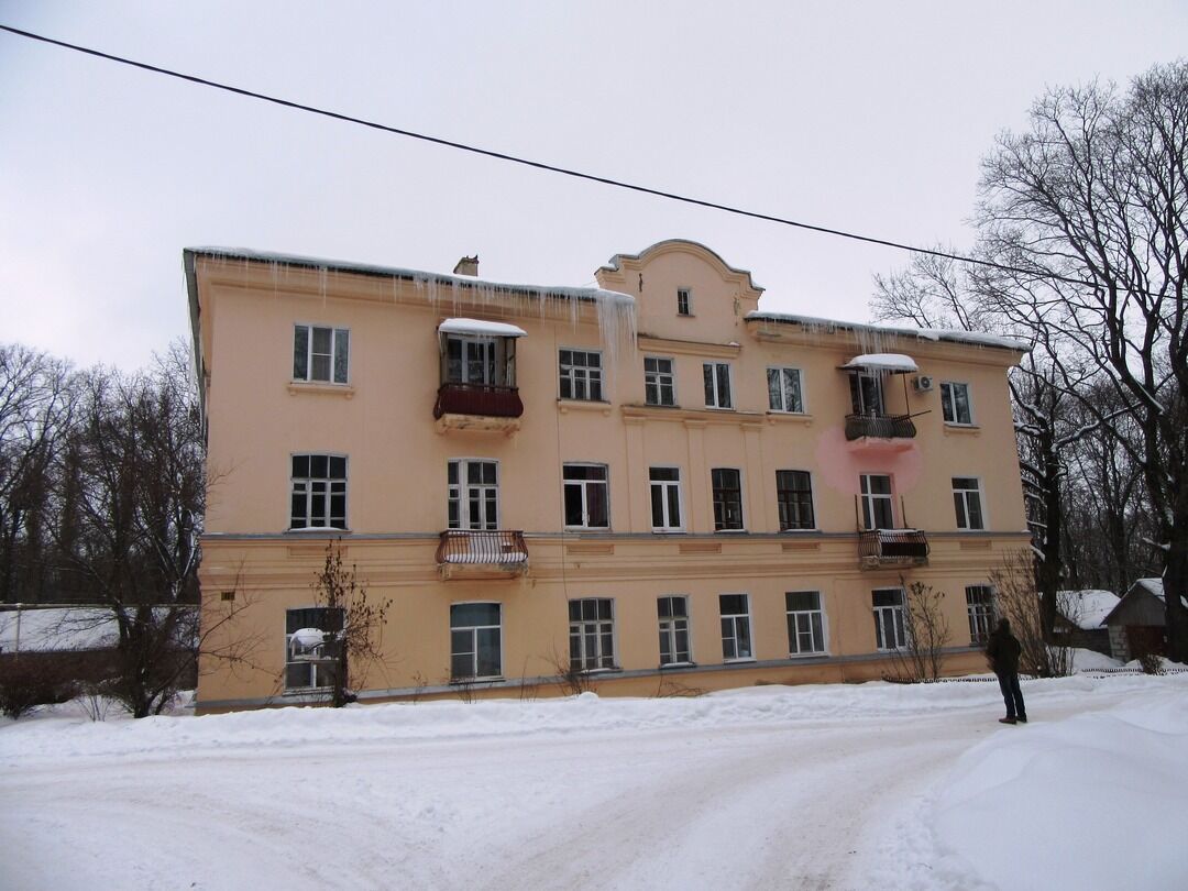 Село яблочное воронежская область хохольский район фото