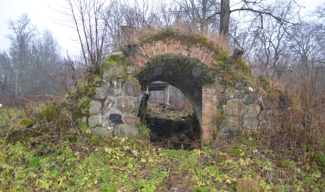 Харагеничи тихвинский район фото деревня