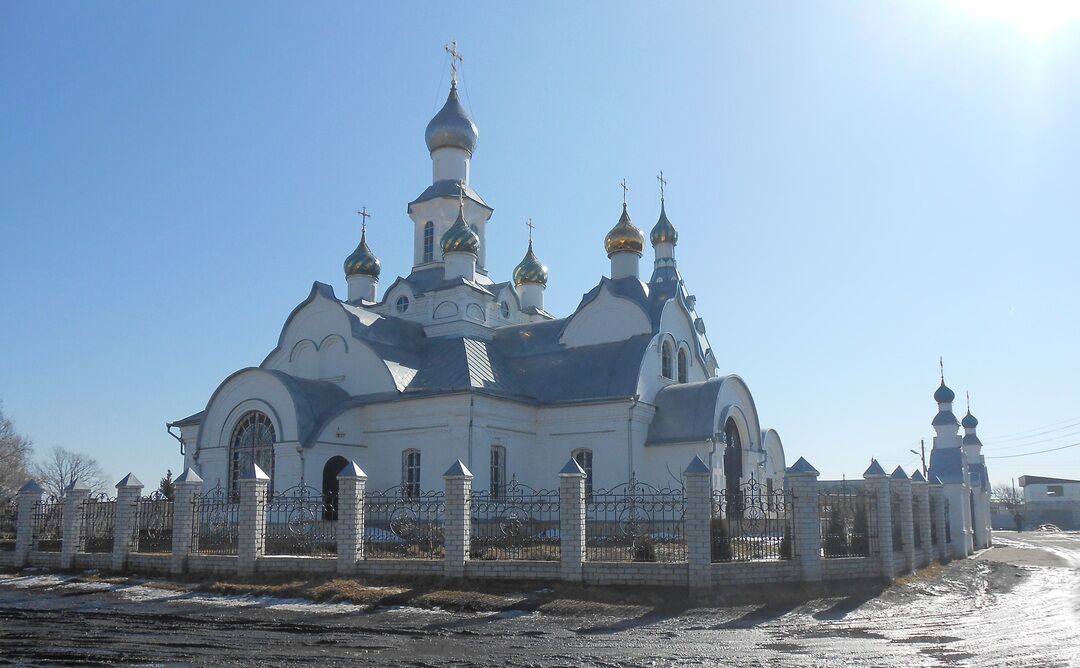 Бабяково воронежская область купить