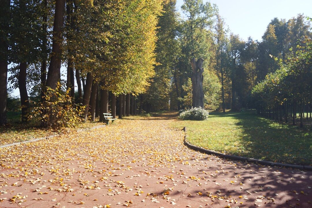 Горки московская область