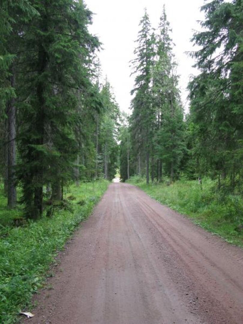 Валаам дорога. Дорога к озеру. Дорога на глухое озеро. Монастырская дорога. У озера дорога лес.