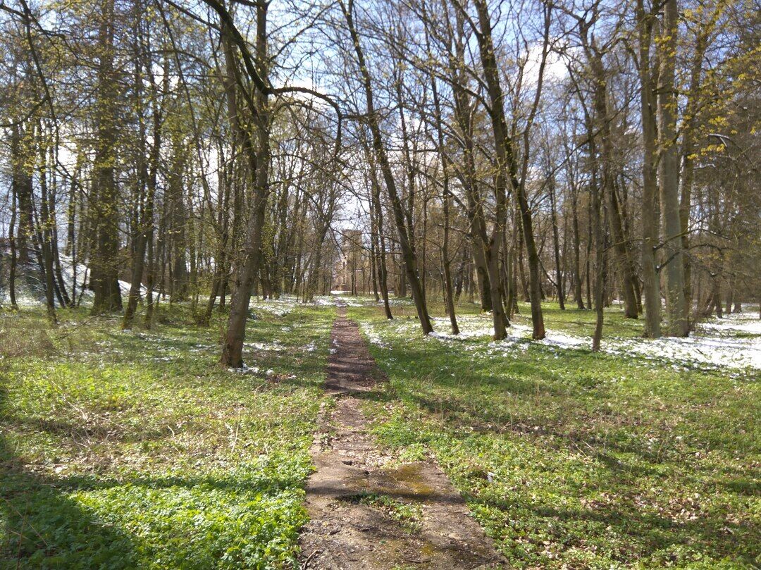 Мичуринский парк. Парк в Мичуринском Екатеринбург. Мичуринский парк пик. Мичуринский парк пик Озерная.