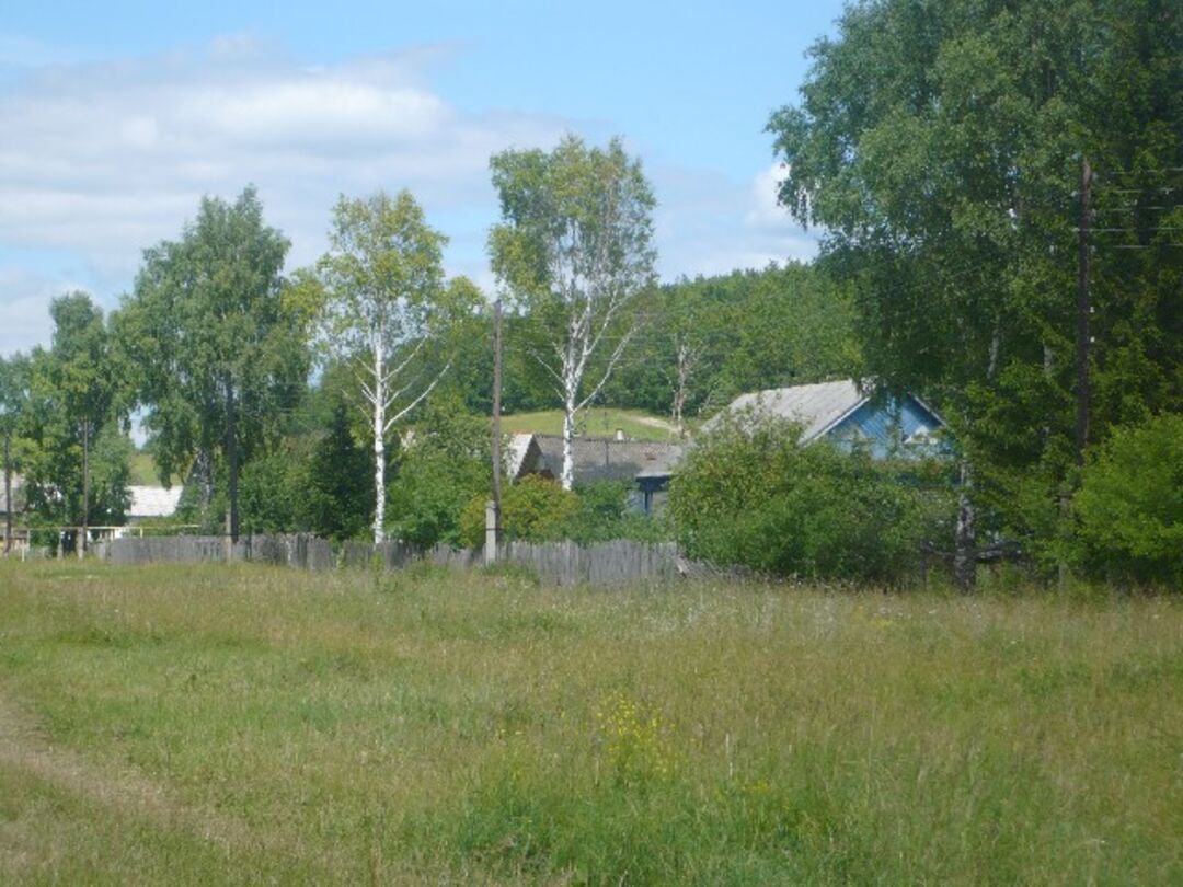 Мордовия дер. Турдаки Мордовия. Старые Турдаки Кочкуровский район Мордовия. Деревня Турдаки Мордовия. Деревня Турдаки Кочкуровский район.