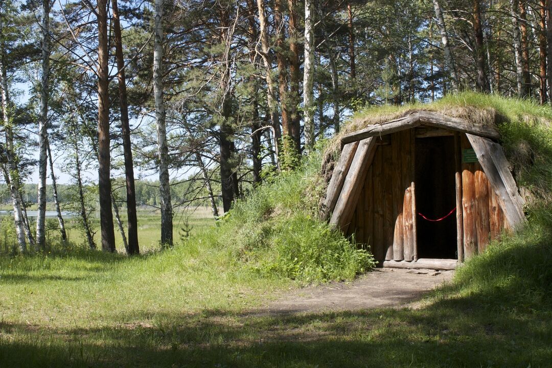 Березовая роща