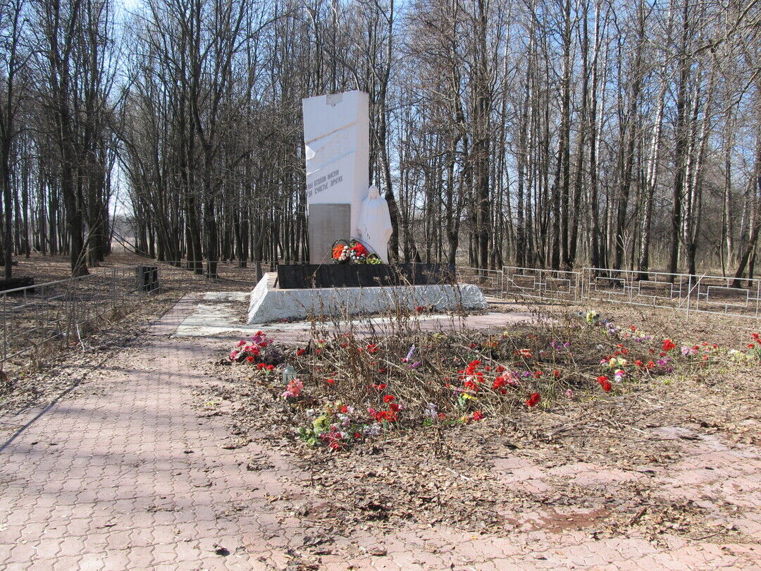 Поселок теплое. Видлица Братская могила. Братская могила (с. Уколица). Кондрово Братское захоронение зима. Село Видлица Братская могила.