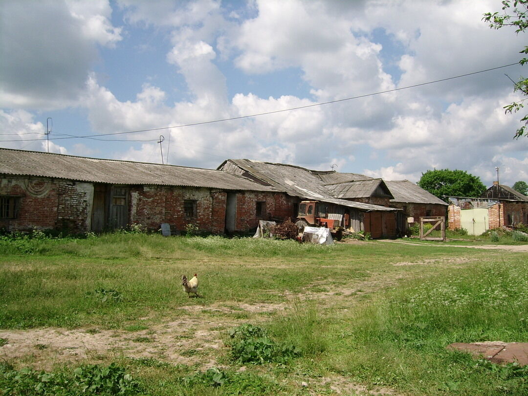 Деревня богданово воронежская