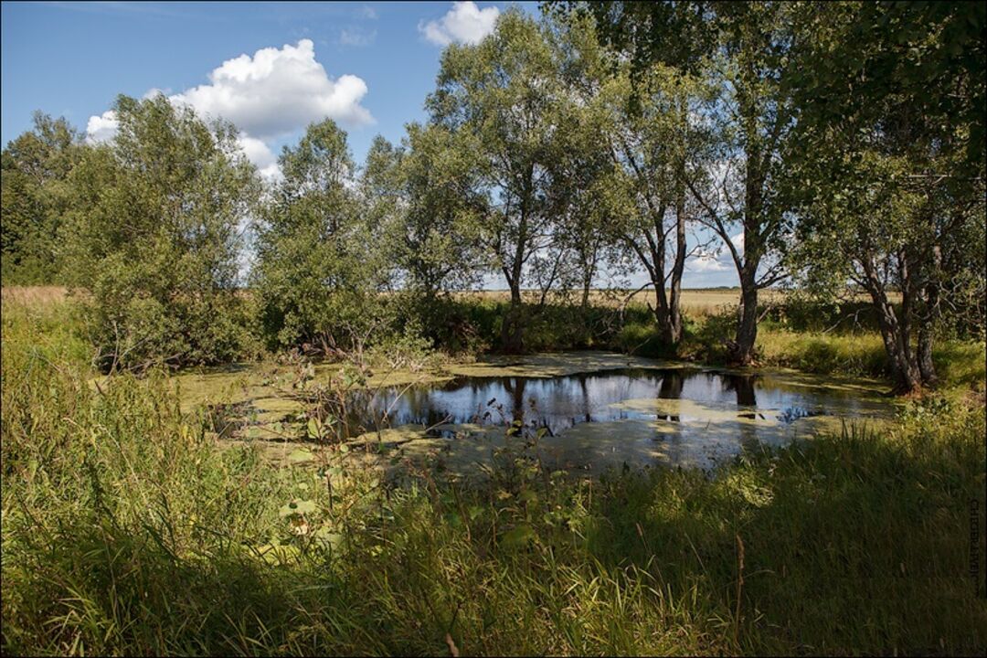 Лыткинский пруд шушенский район фото домиков