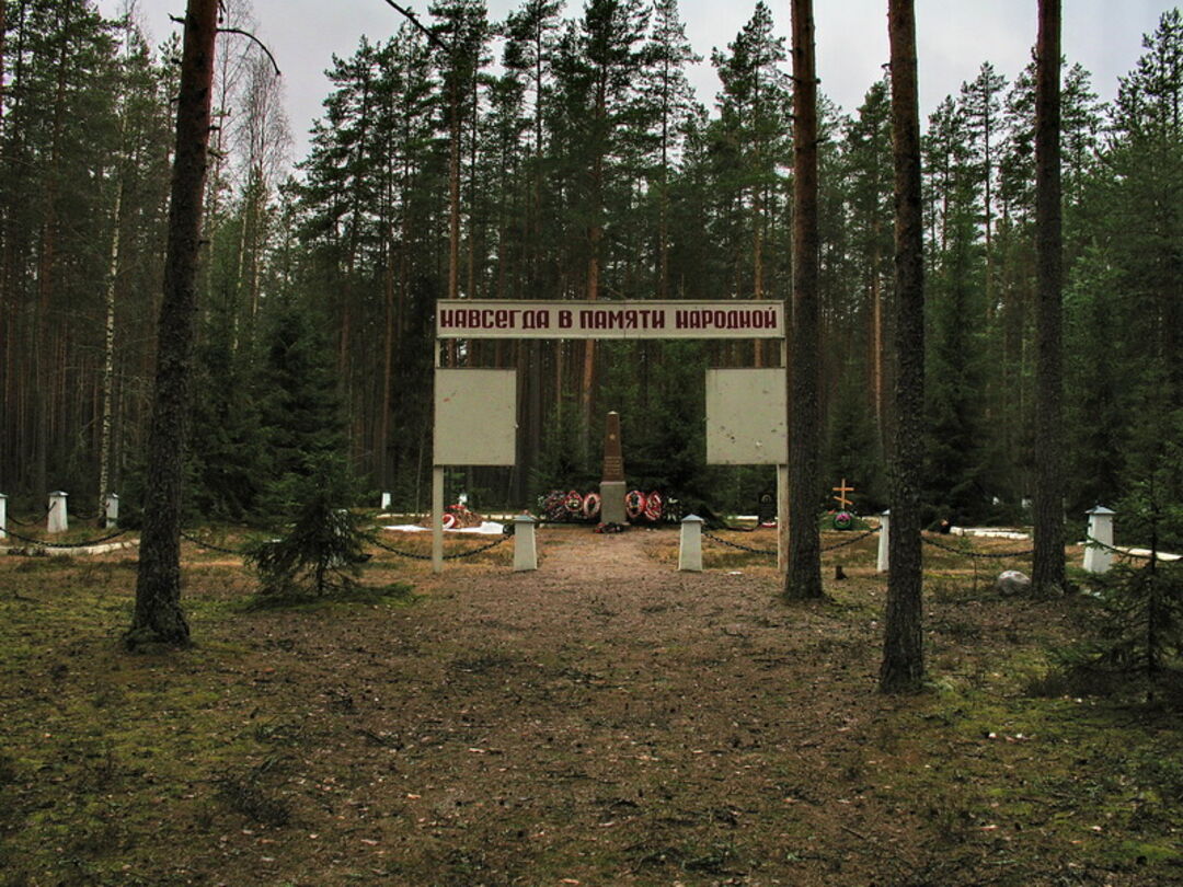 Фото Погибших В П Лесной