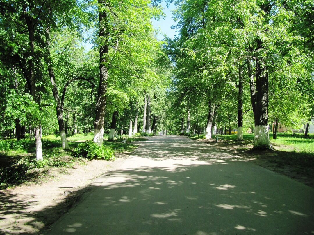 Парк королев. Парки Нижегородской области. Выкса улицы.