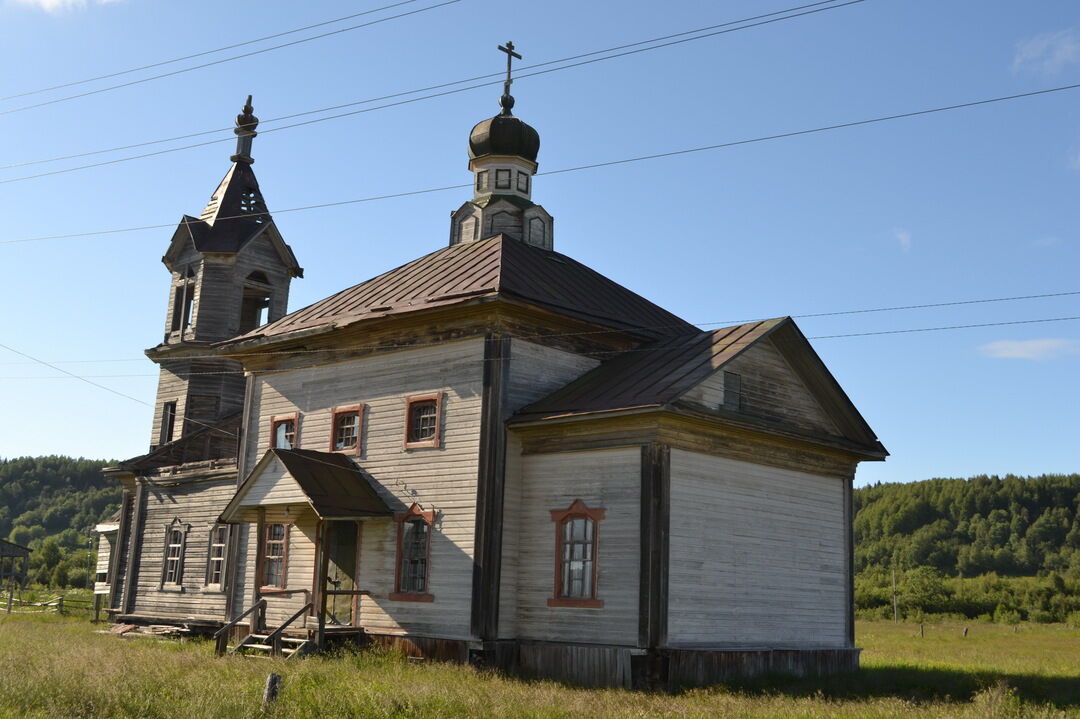 Фото верхняя золотица