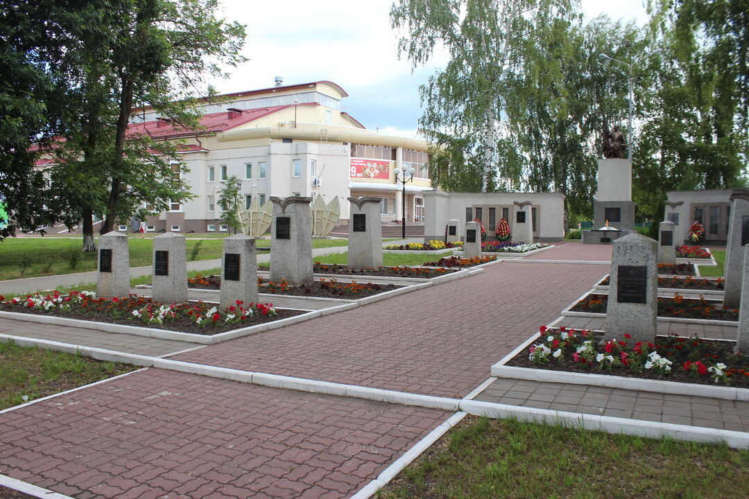 Фото грайворона белгородской области