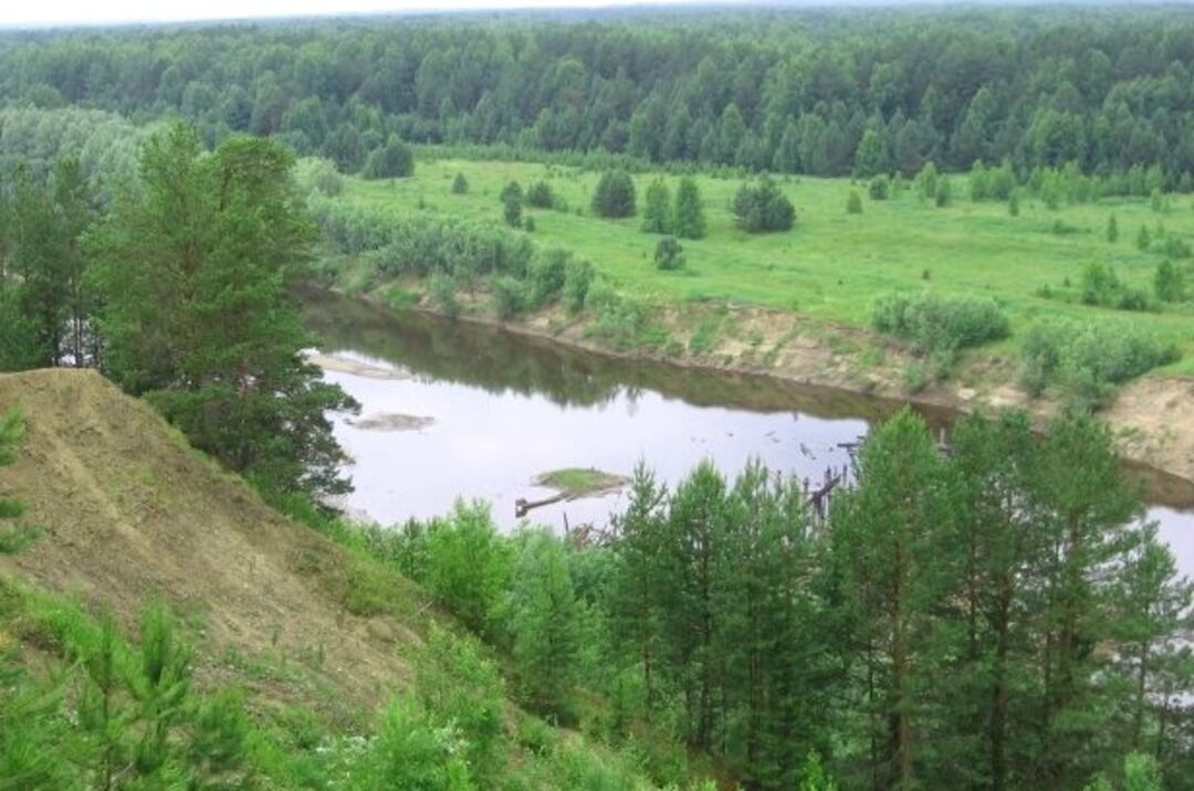 Омская область село знаменское фото