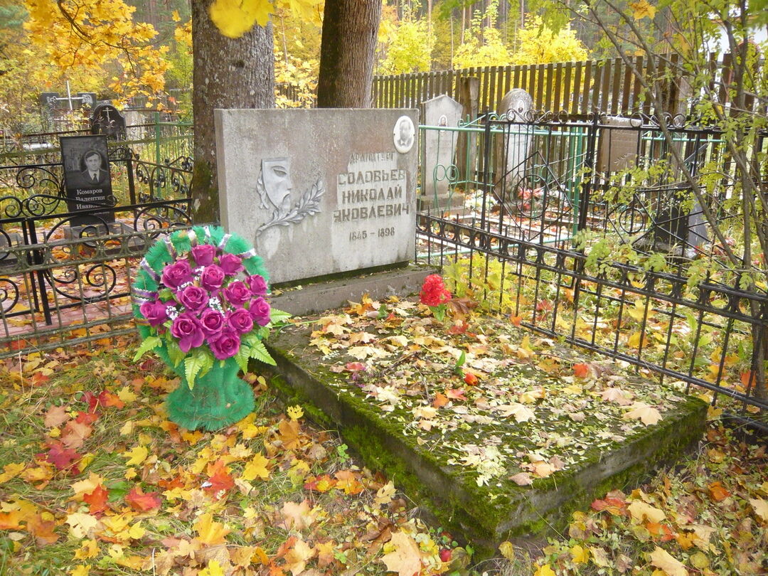 Могила драматурга Н.Я. Соловьева (1845-1898 гг.)