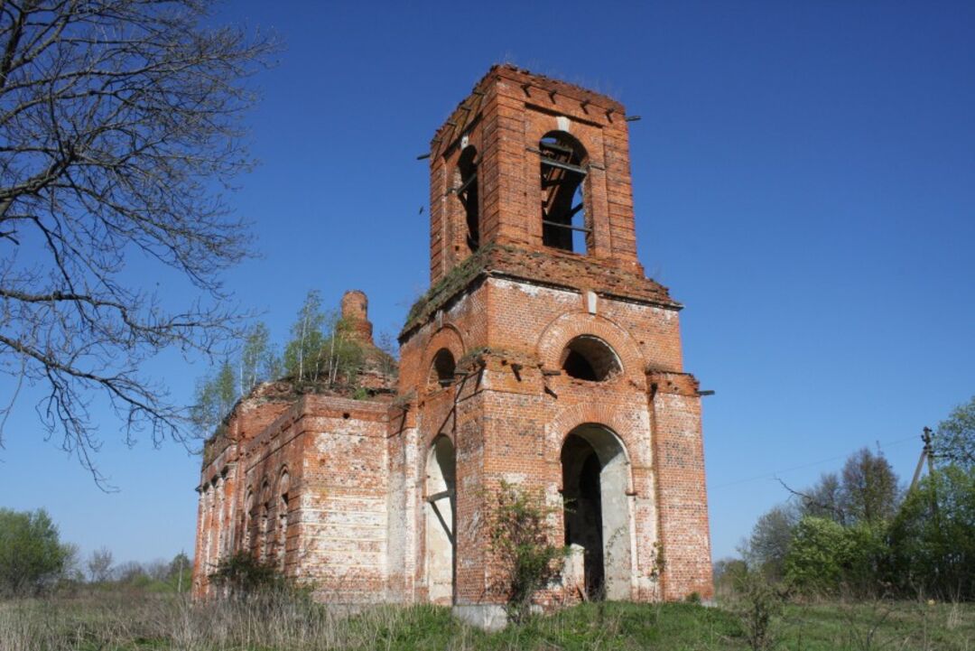 Газель липки тула