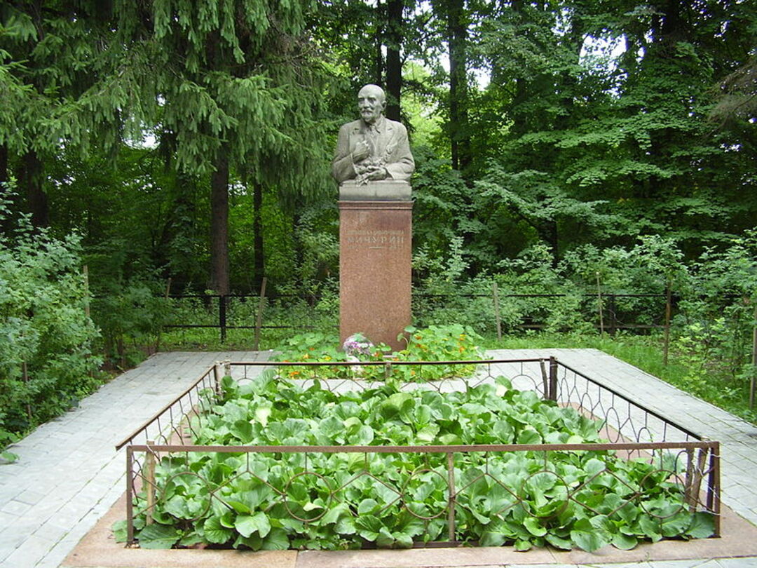 Памятник Мичурину в Мичуринске питомник
