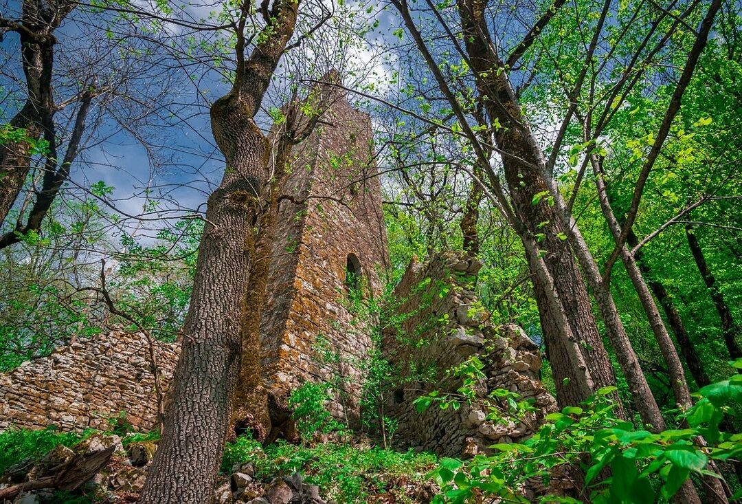 Чеченская башня фото