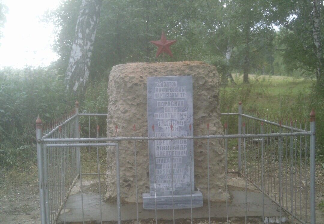 Алтайский партизан. Братская могила Партизан (Бердск). Братская могила Партизан Алтайский край Первомайский район. Братская могила Партизан Ачинский район. Братская могила 7 Партизан малая Повалиха.