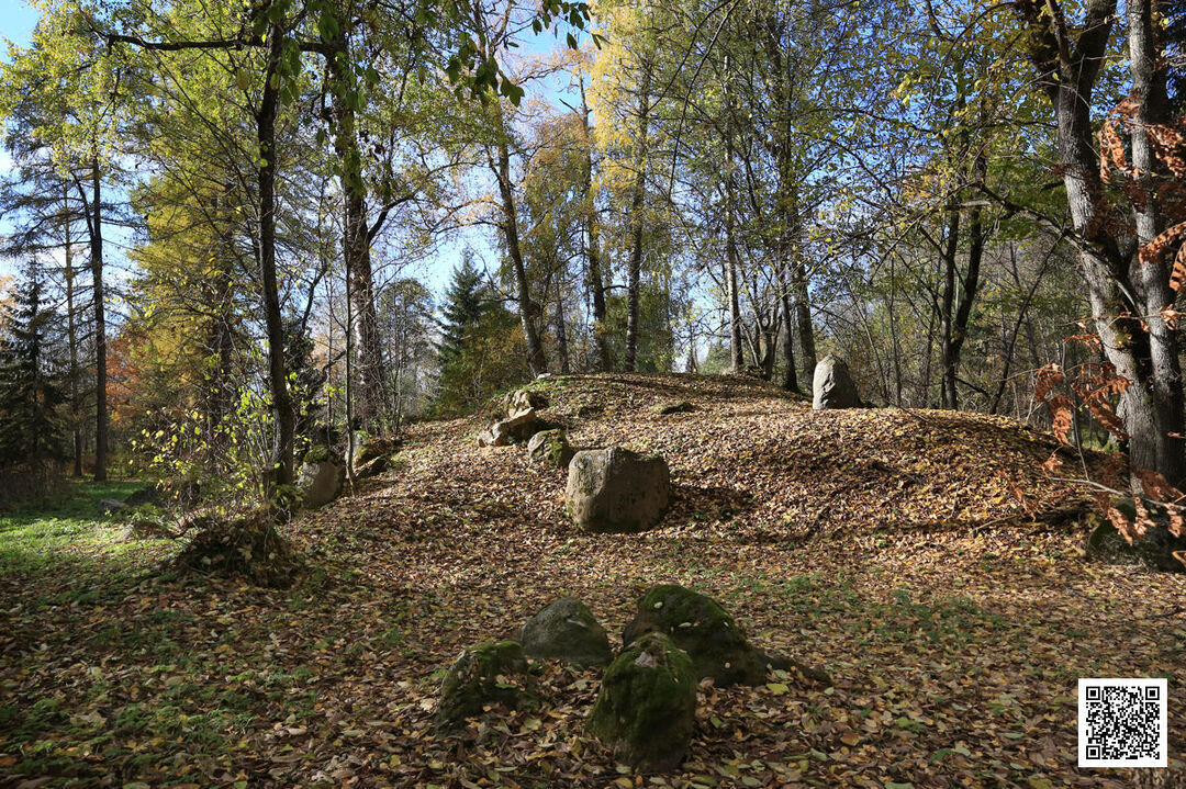 Село никольское на волге