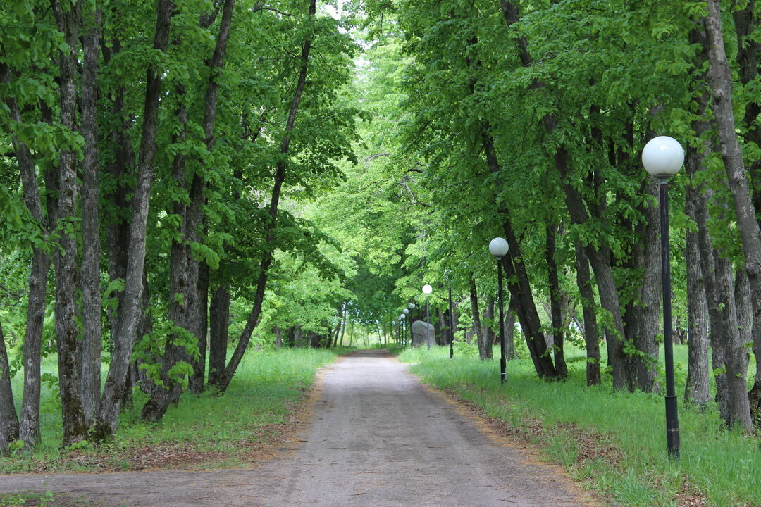 Алексеевка парк