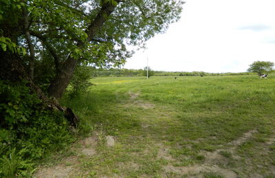 Славское, городище-2