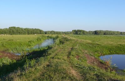 Воскресенское большое городище