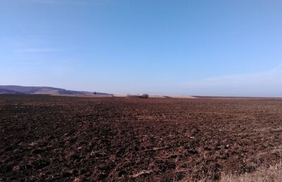Девяносто курганов