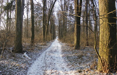 Парк