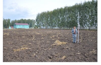 Поселение Нижнесикиязовское
