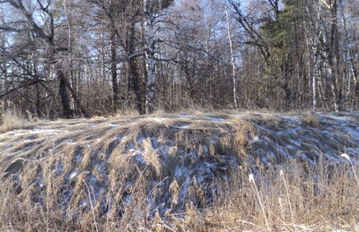 Неклюдовское городище