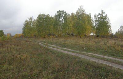 Комплекс памятников Черное Озеро-1