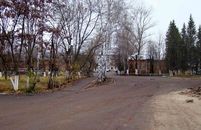 Ансамбль зданий Сапоговской психиатрической лечебницы, 1896-1906 гг.